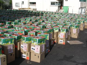 Distribution-Pesach-001